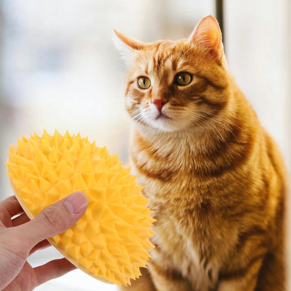 Fruit Molding Scratcher Cat Shelf Massage Comb Cartoon Cat Brush Cat Supply