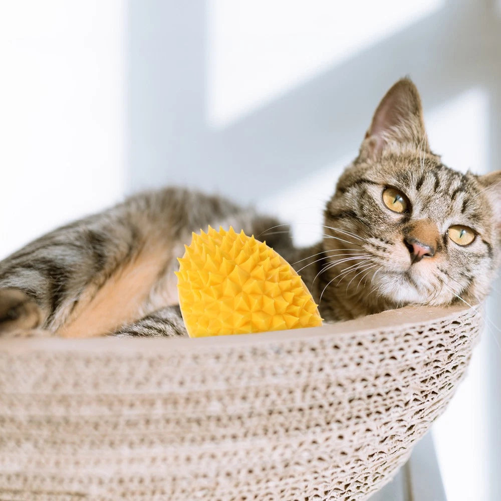 Fruit Molding Scratcher Cat Shelf Massage Comb Cartoon Cat Brush Cat Supply
