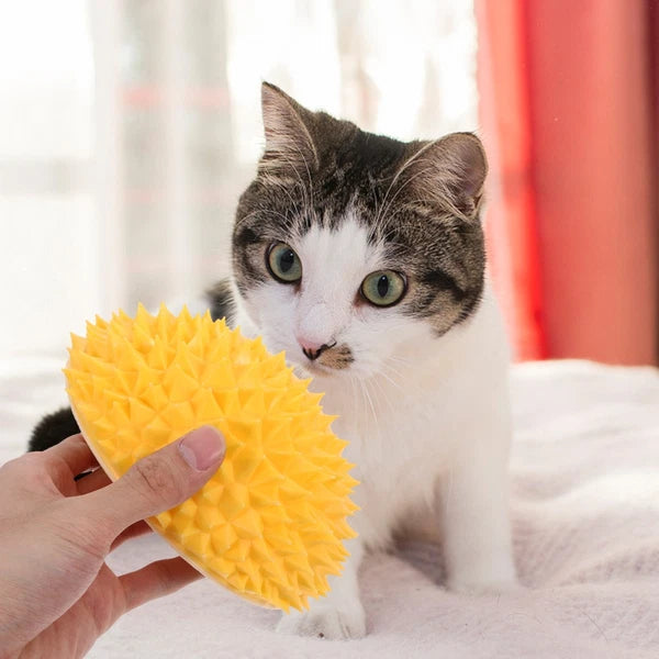 Fruit Molding Scratcher Cat Shelf Massage Comb Cartoon Cat Brush Cat Supply