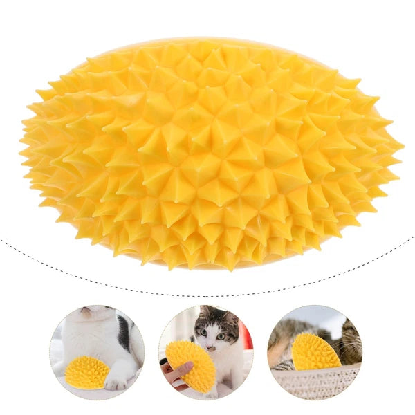 Fruit Molding Scratcher Cat Shelf Massage Comb Cartoon Cat Brush Cat Supply