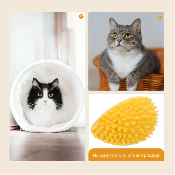 Fruit Molding Scratcher Cat Shelf Massage Comb Cartoon Cat Brush Cat Supply