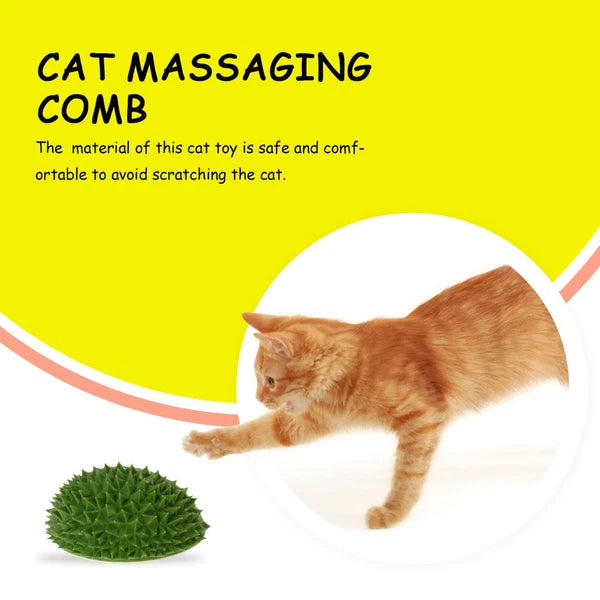 Fruit Molding Scratcher Cat Shelf Massage Comb Cartoon Cat Brush Cat Supply