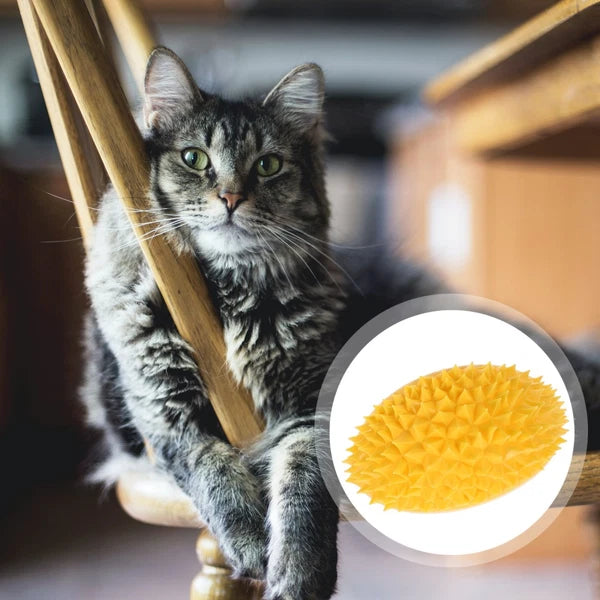 Fruit Molding Scratcher Cat Shelf Massage Comb Cartoon Cat Brush Cat Supply